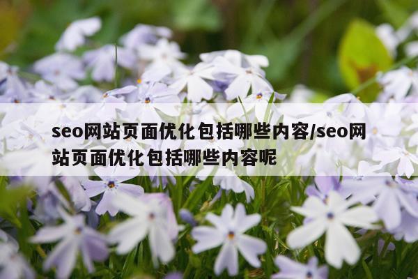 seo网站页面优化包括哪些内容/seo网站页面优化包括哪些内容呢