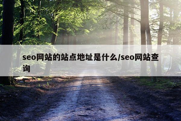 seo网站的站点地址是什么/seo网站查询
