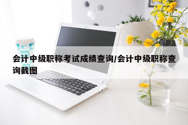 会计中级职称考试成绩查询/会计中级职称查询截图