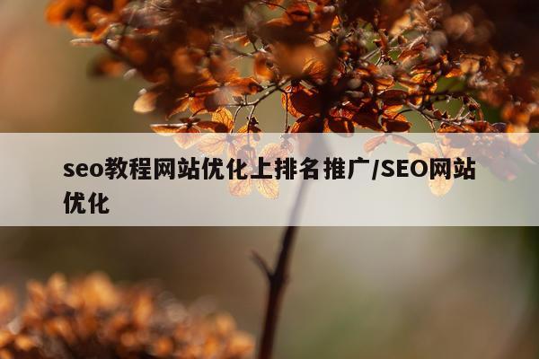 seo教程网站优化上排名推广/SEO网站优化