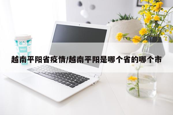 越南平阳省疫情/越南平阳是哪个省的哪个市