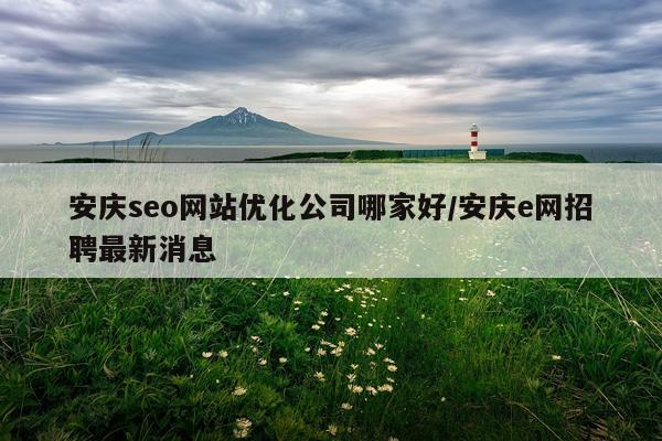 安庆seo网站优化公司哪家好/安庆e网招聘最新消息