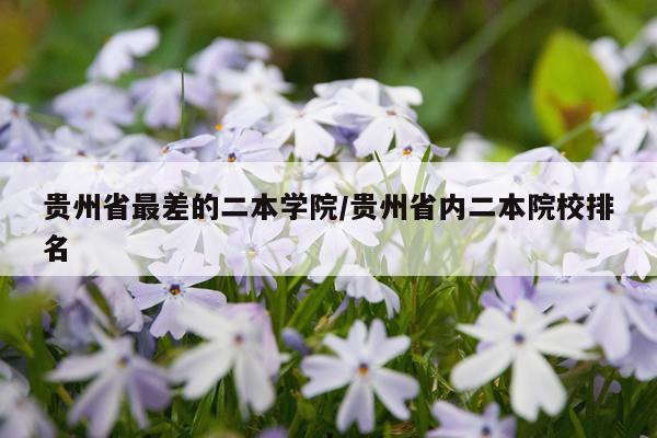 贵州省最差的二本学院/贵州省内二本院校排名