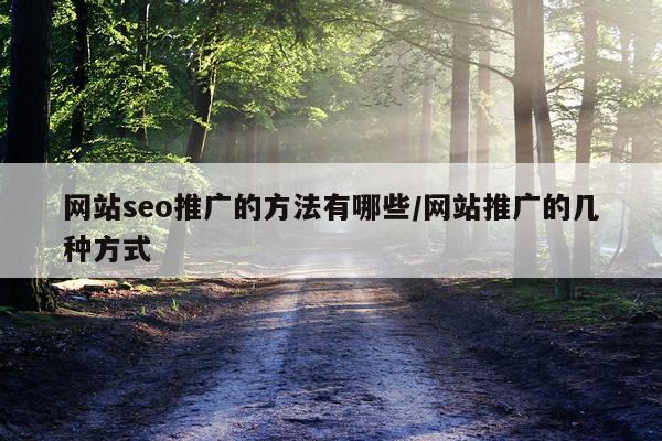网站seo推广的方法有哪些/网站推广的几种方式