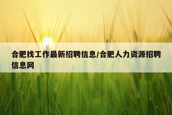 合肥找工作最新招聘信息/合肥人力资源招聘信息网