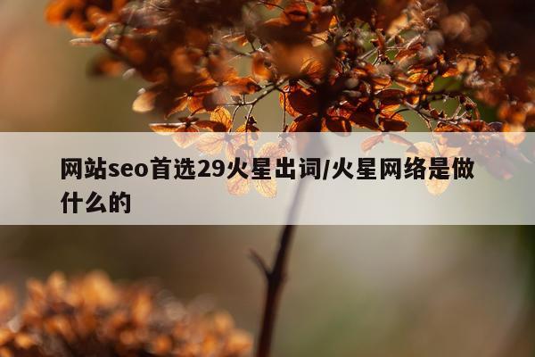 网站seo首选29火星出词/火星网络是做什么的