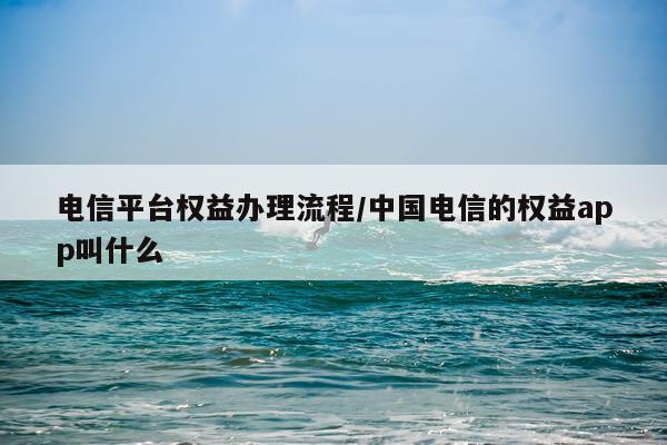 电信平台权益办理流程/中国电信的权益app叫什么