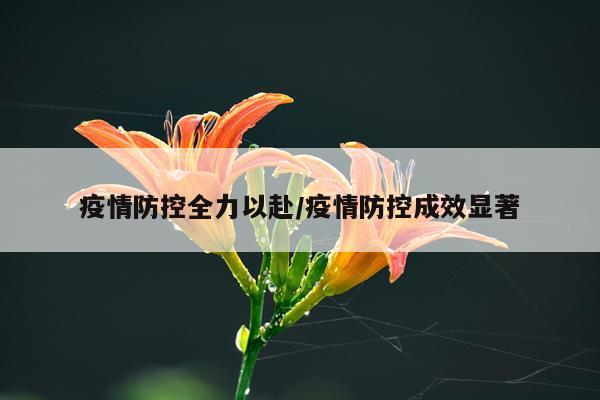 疫情防控全力以赴/疫情防控成效显著
