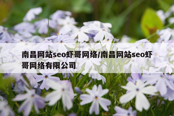 南昌网站seo虾哥网络/南昌网站seo虾哥网络有限公司
