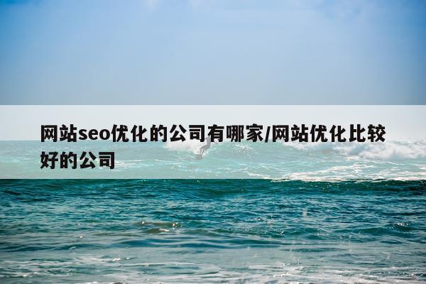 网站seo优化的公司有哪家/网站优化比较好的公司
