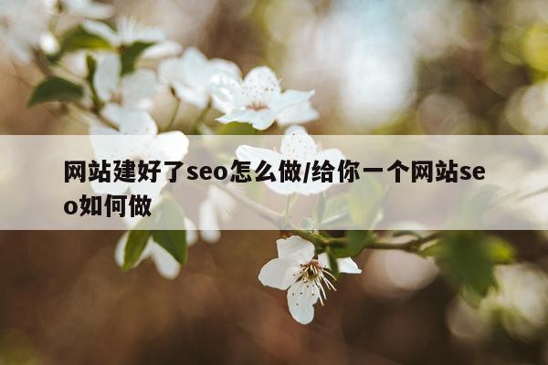 网站建好了seo怎么做/给你一个网站seo如何做