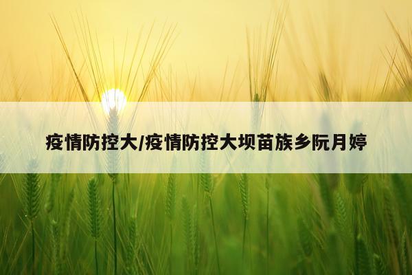 疫情防控大/疫情防控大坝苗族乡阮月婷