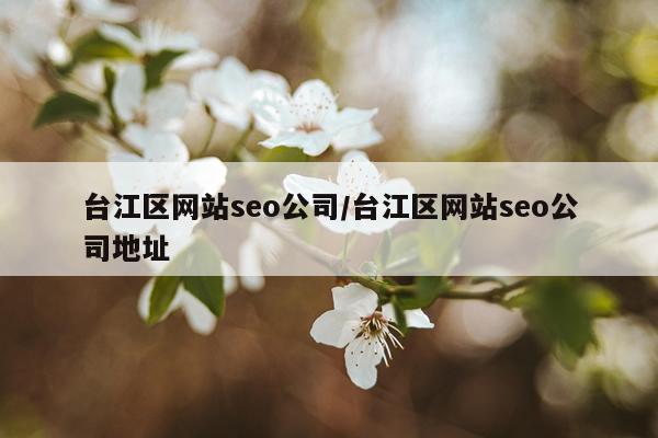 台江区网站seo公司/台江区网站seo公司地址