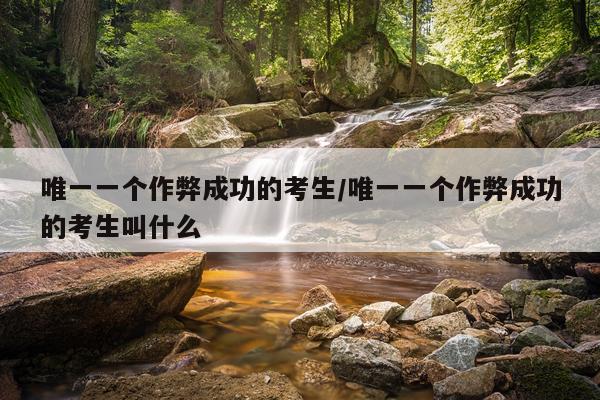 唯一一个作弊成功的考生/唯一一个作弊成功的考生叫什么