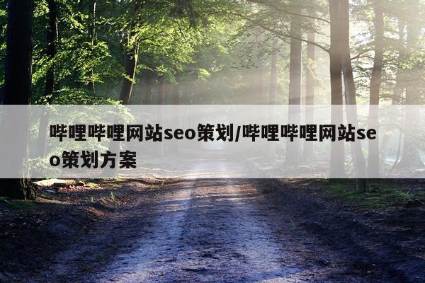 哔哩哔哩网站seo策划/哔哩哔哩网站seo策划方案