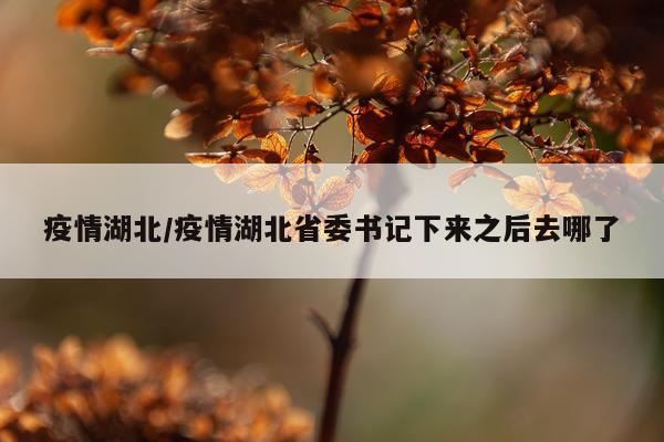 疫情湖北/疫情湖北省委书记下来之后去哪了