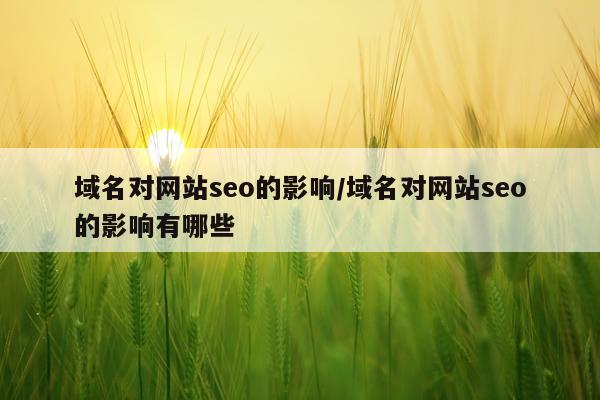 域名对网站seo的影响/域名对网站seo的影响有哪些