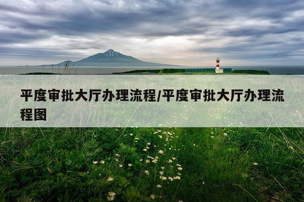 平度审批大厅办理流程/平度审批大厅办理流程图