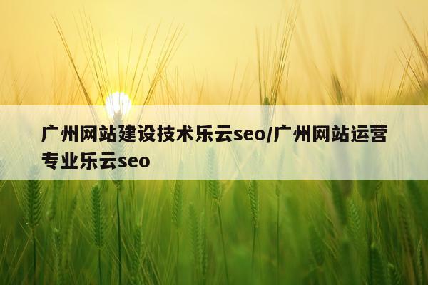 广州网站建设技术乐云seo/广州网站运营专业乐云seo
