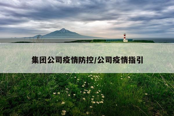 集团公司疫情防控/公司疫情指引