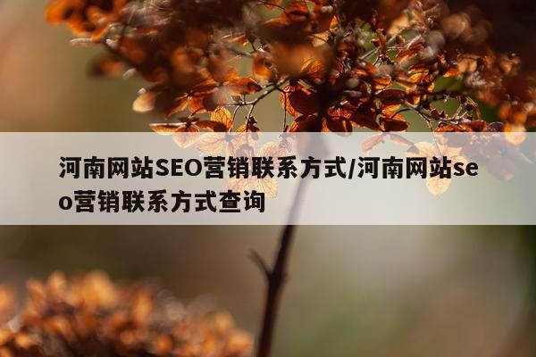 河南网站SEO营销联系方式/河南网站seo营销联系方式查询