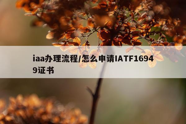 iaa办理流程/怎么申请IATF16949证书