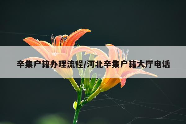 辛集户籍办理流程/河北辛集户籍大厅电话