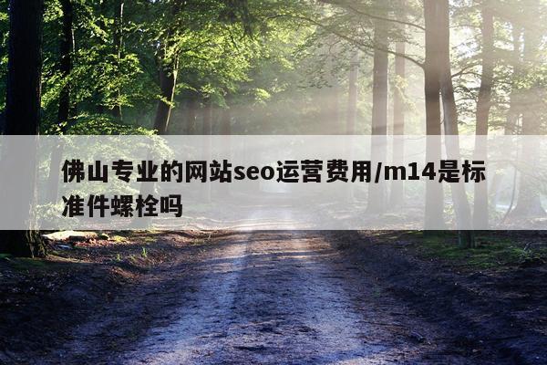 佛山专业的网站seo运营费用/m14是标准件螺栓吗