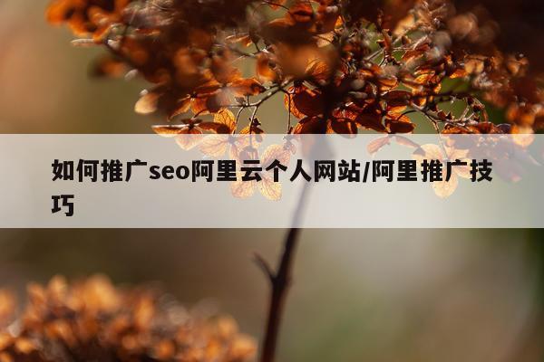 如何推广seo阿里云个人网站/阿里推广技巧