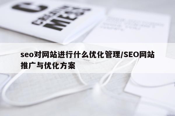 seo对网站进行什么优化管理/SEO网站推广与优化方案