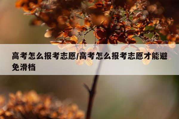 高考怎么报考志愿/高考怎么报考志愿才能避免滑档