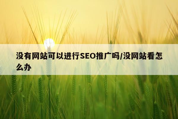 没有网站可以进行SEO推广吗/没网站看怎么办