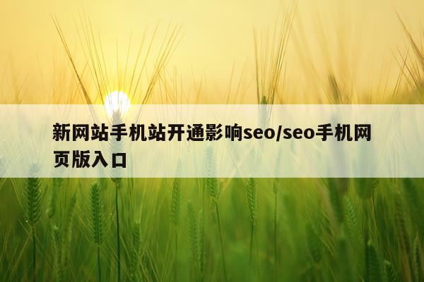新网站手机站开通影响seo/seo手机网页版入口
