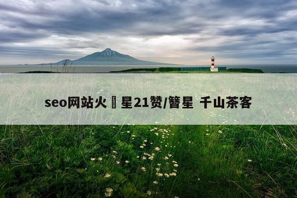 seo网站火亅星21赞/簪星 千山茶客