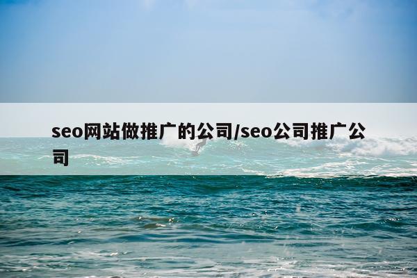 seo网站做推广的公司/seo公司推广公司