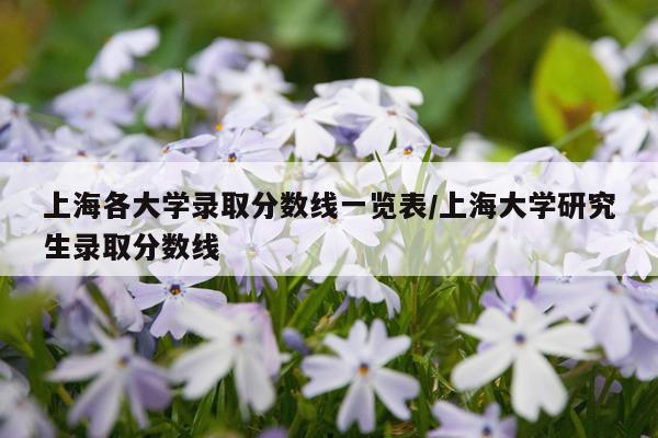 上海各大学录取分数线一览表/上海大学研究生录取分数线