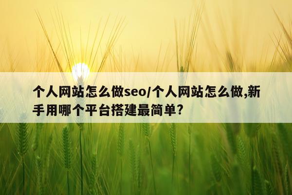 个人网站怎么做seo/个人网站怎么做,新手用哪个平台搭建最简单?