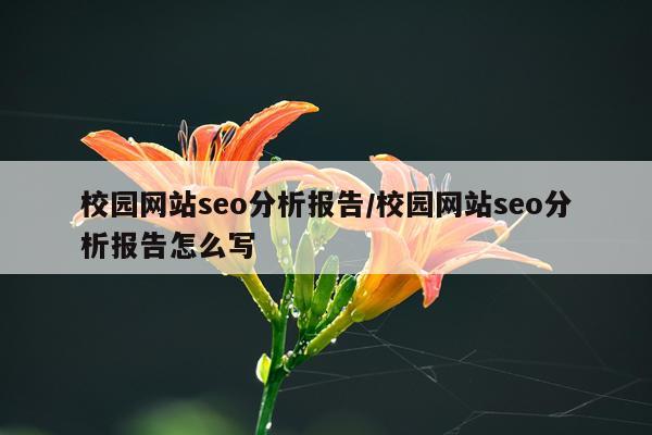 校园网站seo分析报告/校园网站seo分析报告怎么写