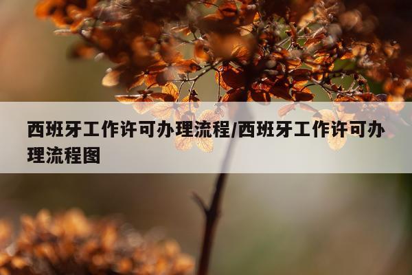 西班牙工作许可办理流程/西班牙工作许可办理流程图