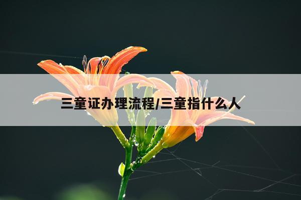 三童证办理流程/三童指什么人
