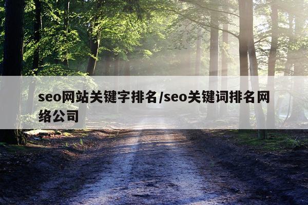 seo网站关键字排名/seo关键词排名网络公司