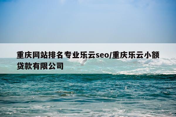 重庆网站排名专业乐云seo/重庆乐云小额贷款有限公司