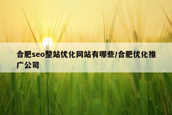 合肥seo整站优化网站有哪些/合肥优化推广公司