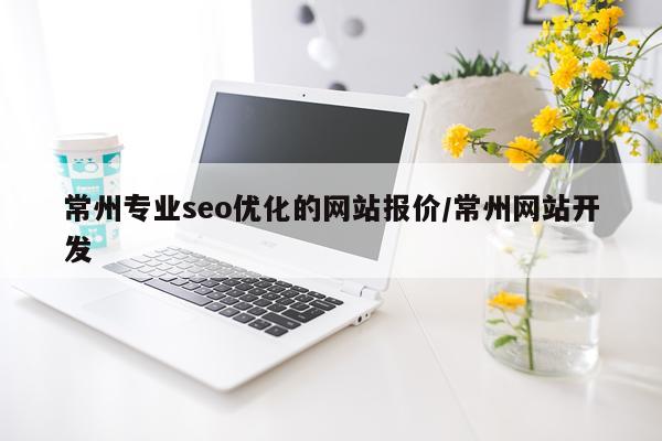 常州专业seo优化的网站报价/常州网站开发