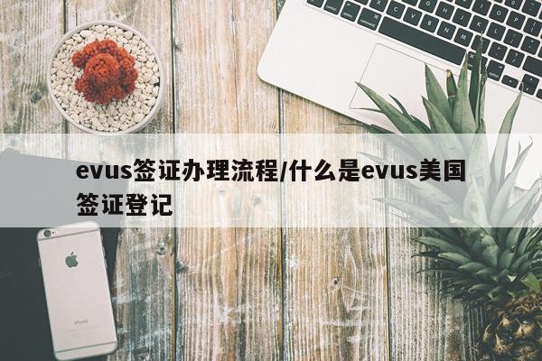 evus签证办理流程/什么是evus美国签证登记