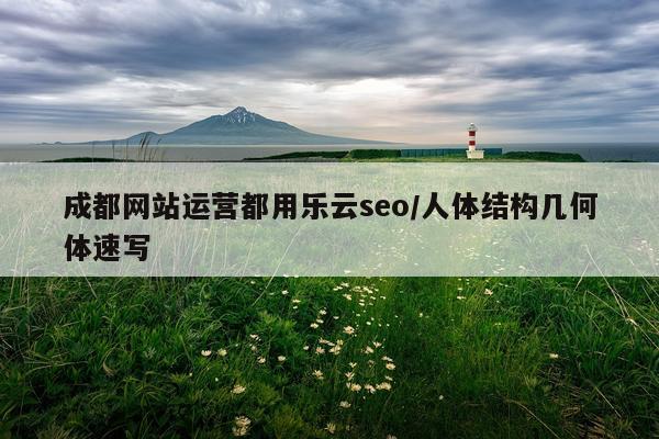 成都网站运营都用乐云seo/人体结构几何体速写