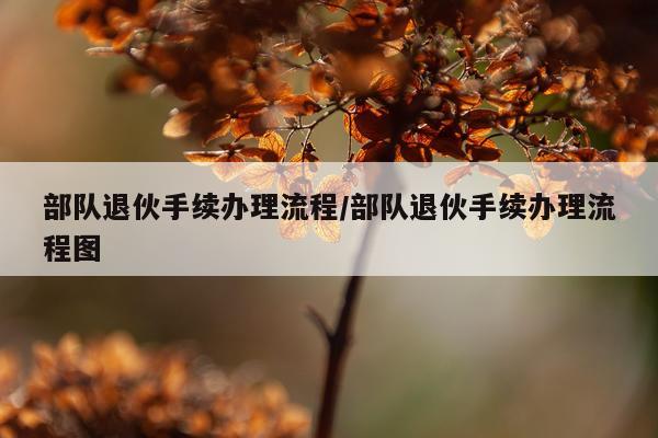 部队退伙手续办理流程/部队退伙手续办理流程图