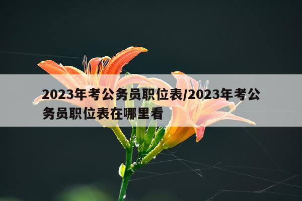 2023年考公务员职位表/2023年考公务员职位表在哪里看