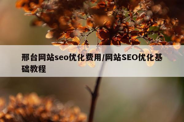 邢台网站seo优化费用/网站SEO优化基础教程