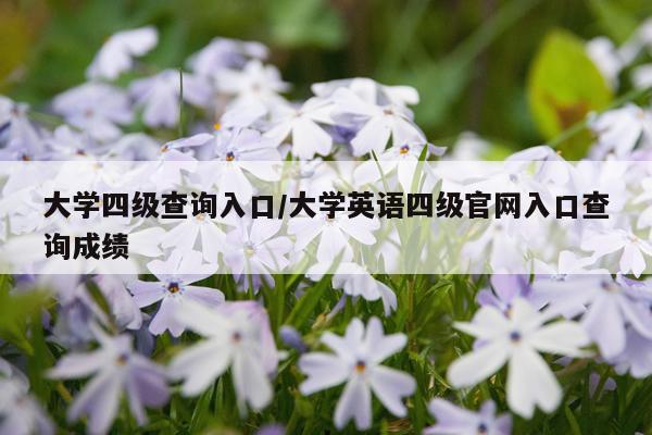 大学四级查询入口/大学英语四级官网入口查询成绩
